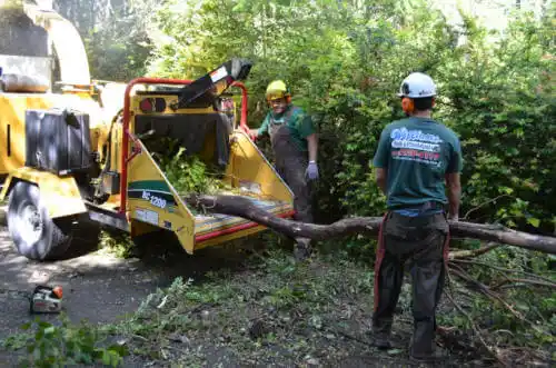 tree services Suisun City